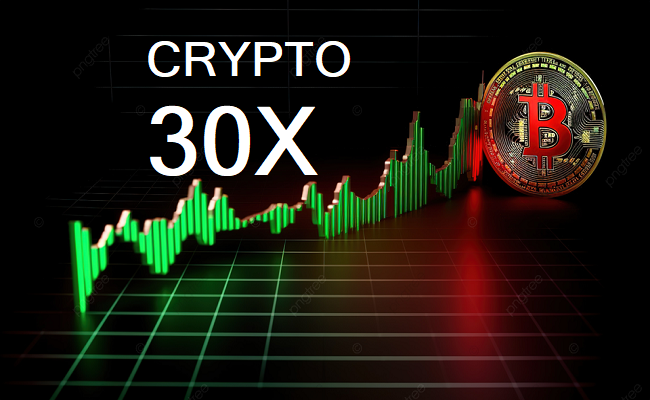 What is Crypto30x.com?