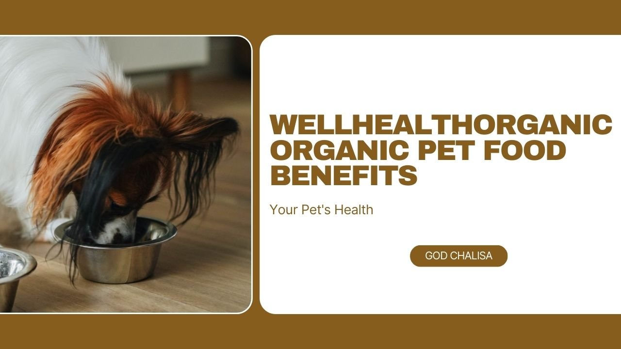 WellHealthOrganic Organic Pet Food Benefits