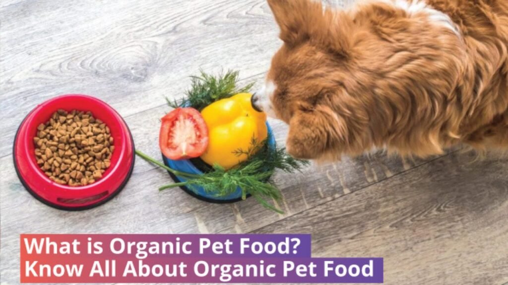 What is Organic Pet Food?